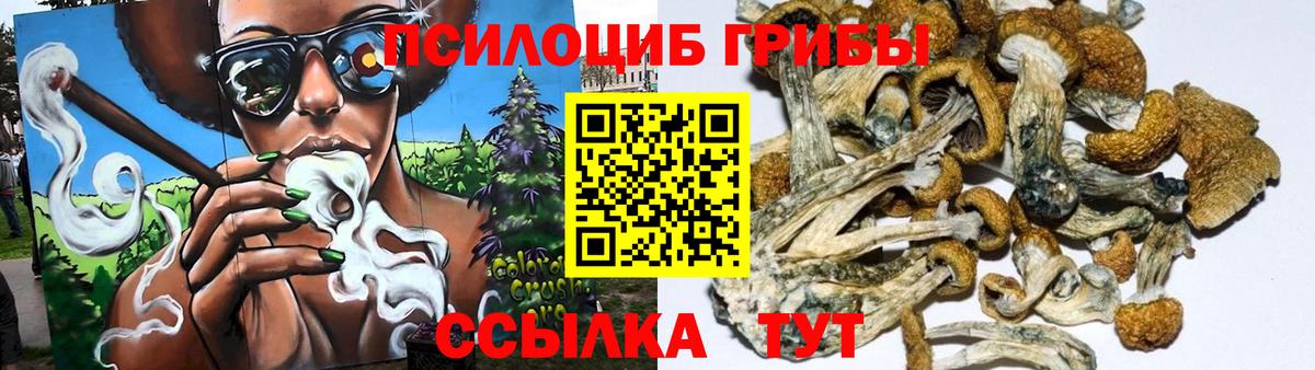 Псилоцибиновые грибы ЛСД  Псилоцибиновые грибы Psilocybine cubensis  Кольчугино  купить закладку  Вход с VPN 